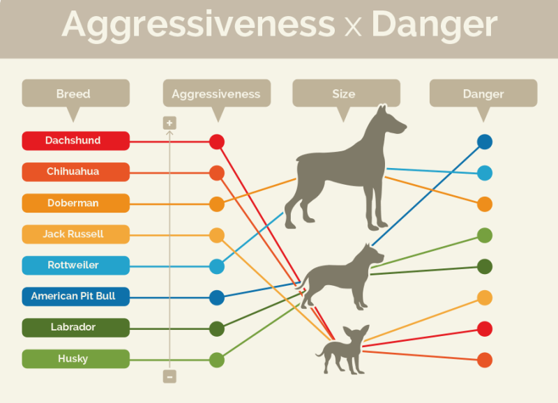 Dogs aggressiveness and breeds