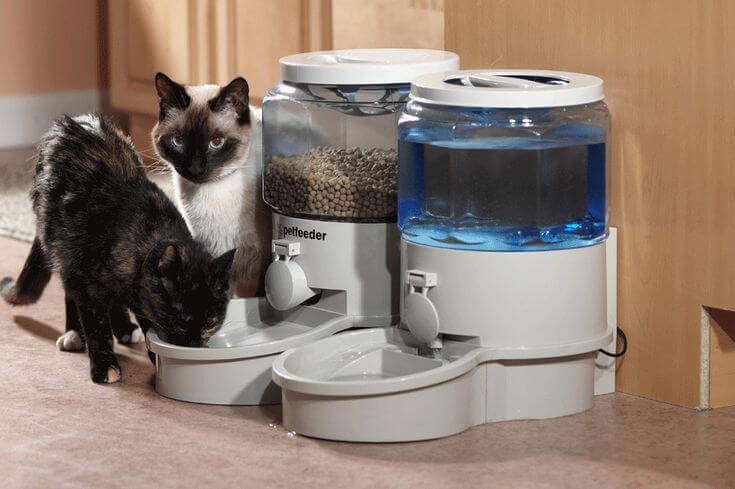 Cat Feeders Review 4