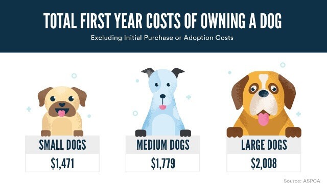 Pet Ownership Costs 2