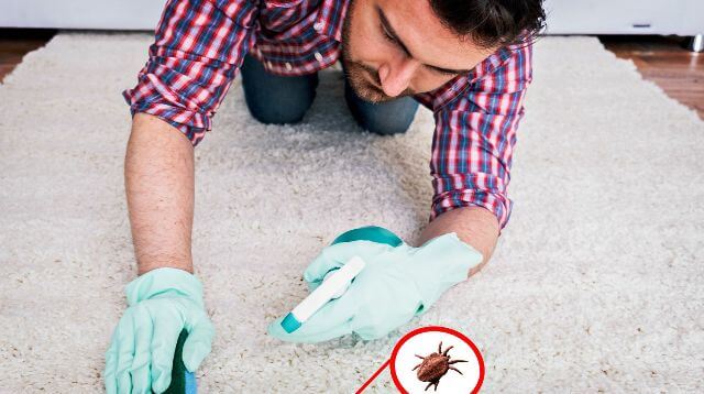 get rid of fleas naturally