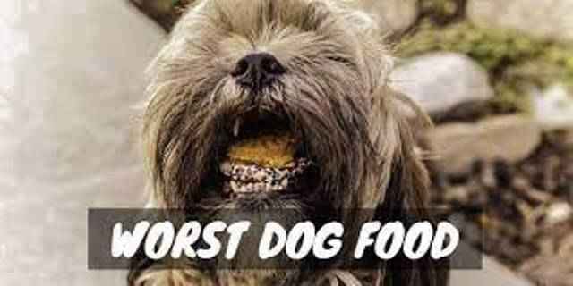 Worst Dog Food 1