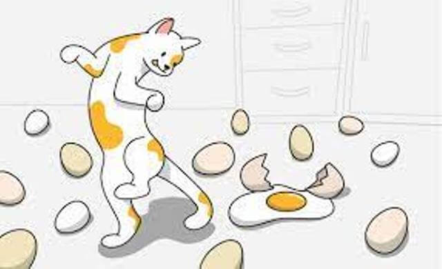 Can Cats Eat Eggs 4