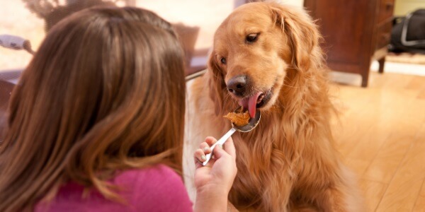 is peanut butter good for dogs