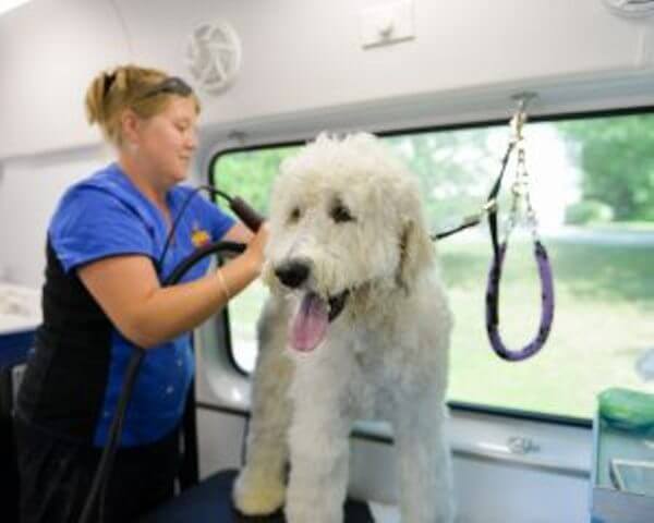 Mobile Pet Groomers 2