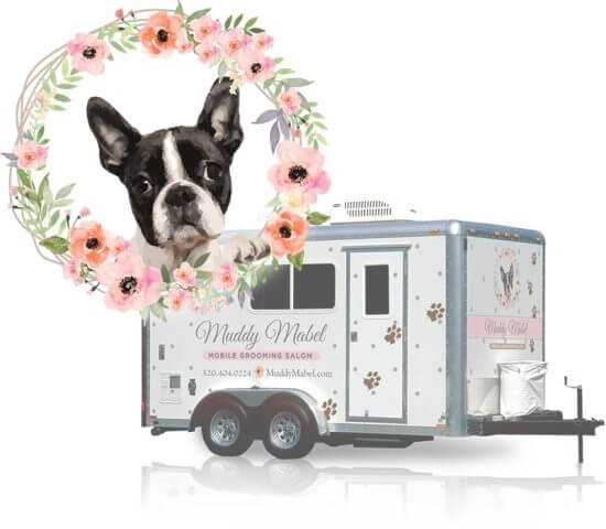 Mobile Pet Groomers 7