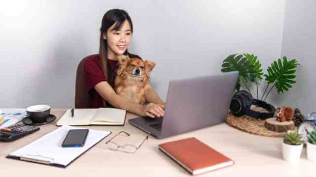 Work from Home with your Dog
