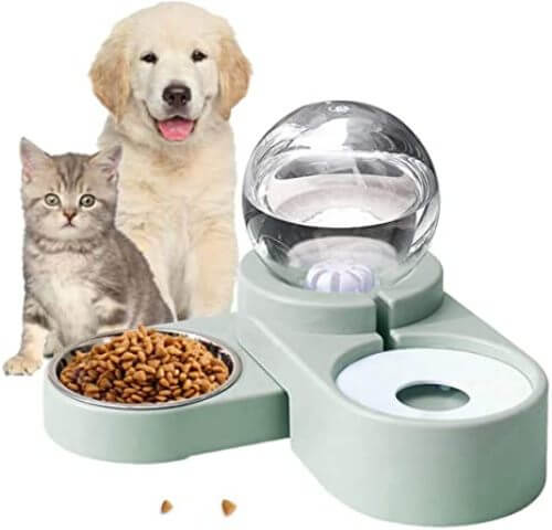 automatic food and water dispenser for dogs