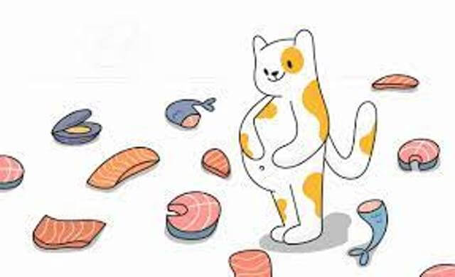 Can Cats Eat Shrimp 7