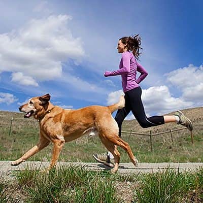 workouts with your dog 6