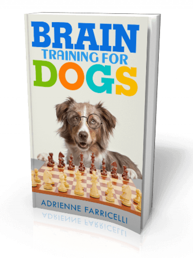 Brain Training For Dogs Course Honest Review