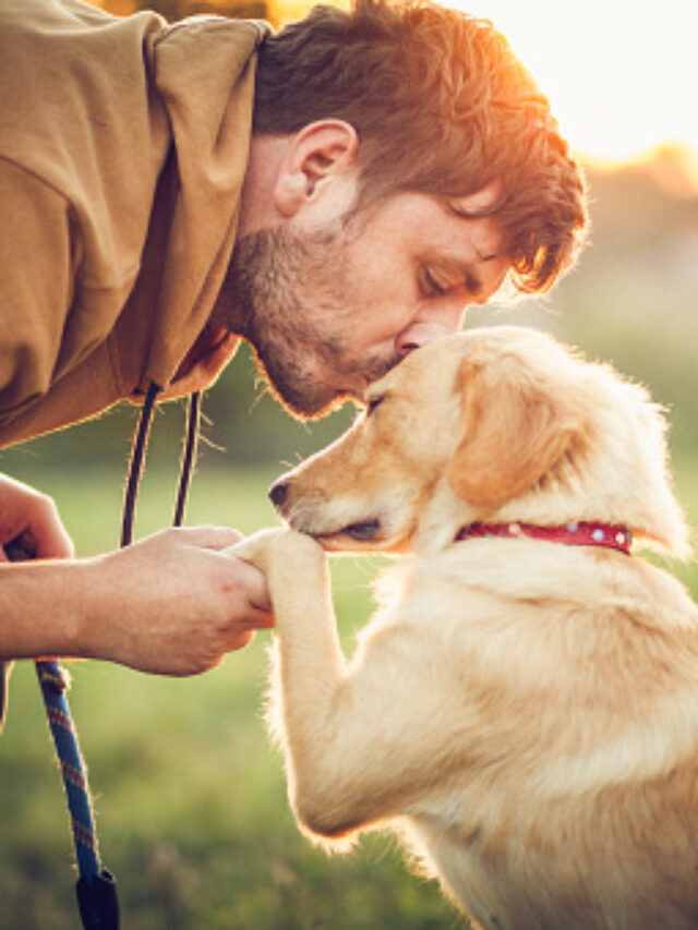 10 Ways Dogs Express Love